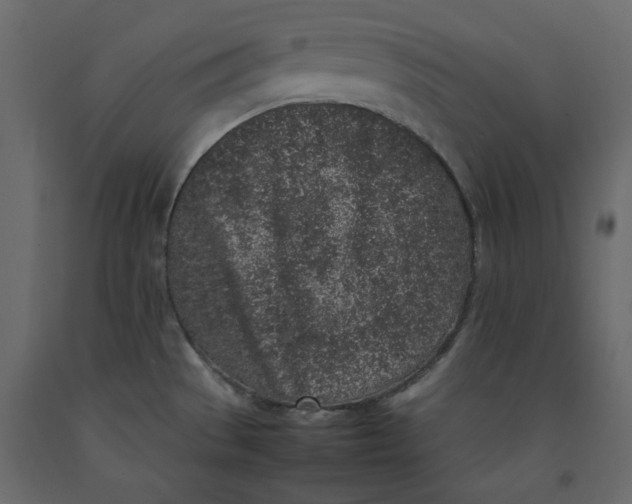 X0000092221529200710051147