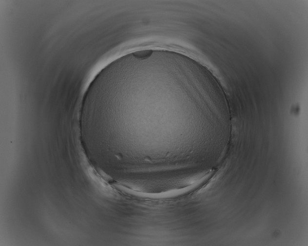 X0000092221530200710051147