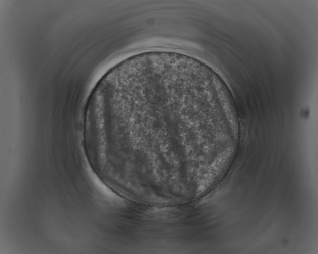 X0000092221531200710051147