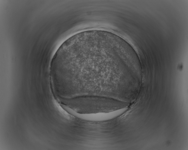 X0000092221532200710051147