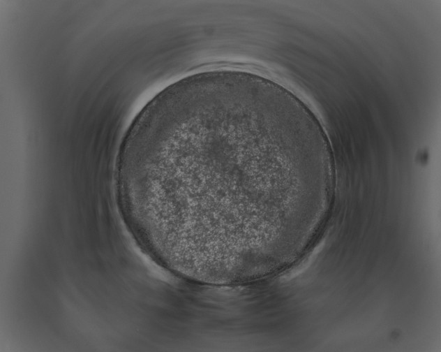X0000092221533200710051147