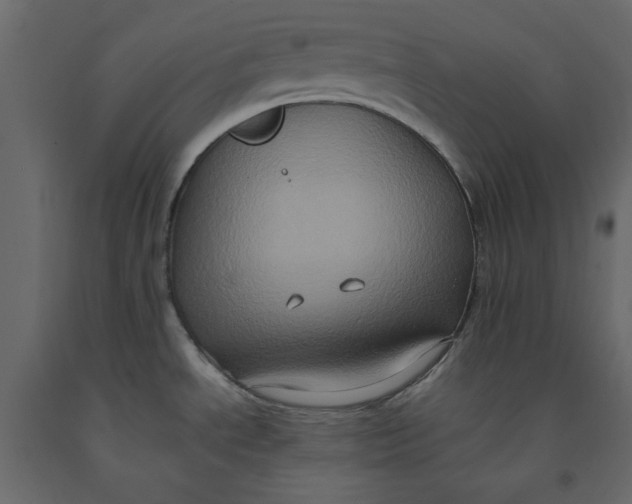 X0000092221534200710051147