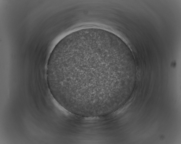 X0000092221535200710051147