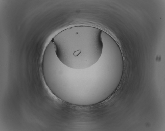 X0000092221536200710051147