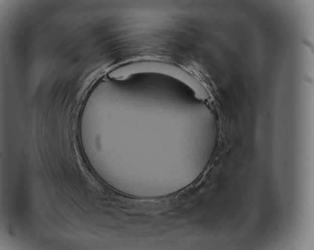 X0000092220001200710121206