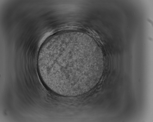 X0000092220003200710121206