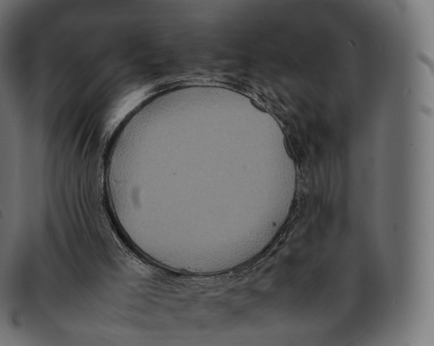 X0000092220005200710121206