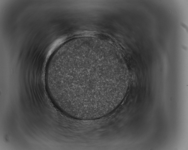 X0000092220006200710121206