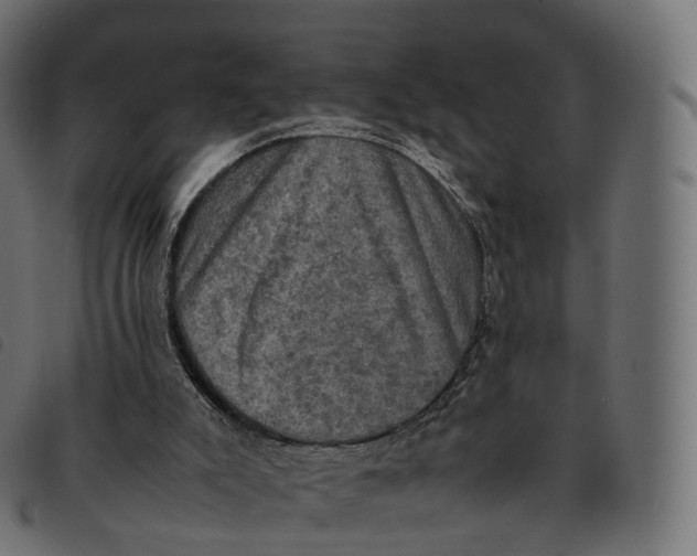 X0000092220007200710121206