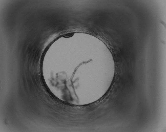 X0000092220008200710121206