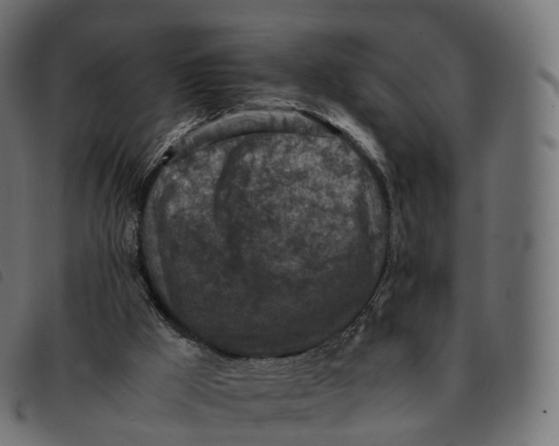 X0000092220009200710121206