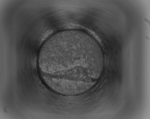 X0000092220010200710121206