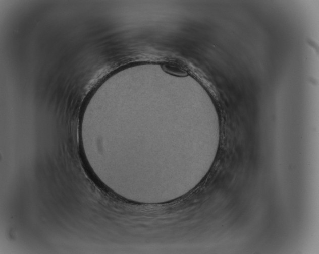 X0000092220011200710121206