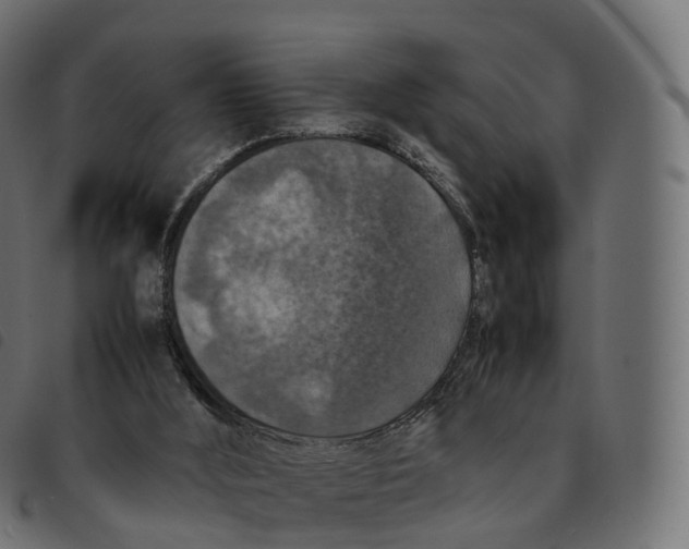 X0000092220012200710121206