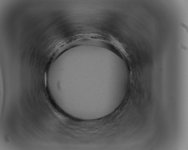 X0000092220013200710121206