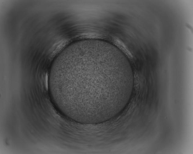 X0000092220014200710121206