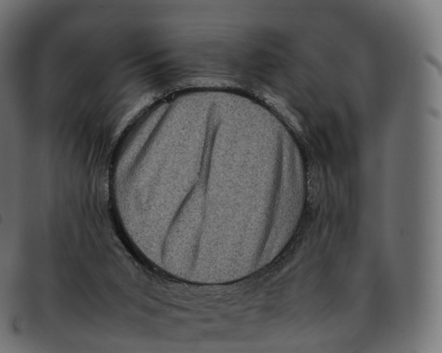 X0000092220015200710121206