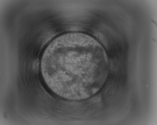 X0000092220016200710121206