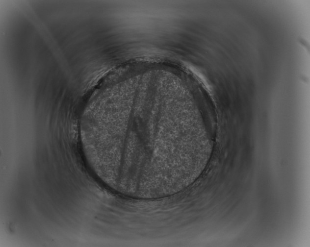 X0000092220017200710121206