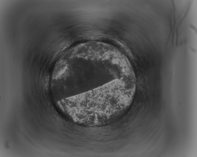 X0000092220018200710121206