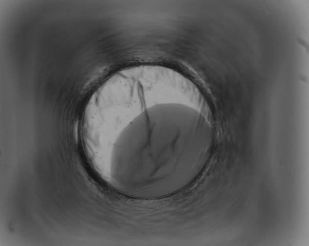 X0000092220019200710121206