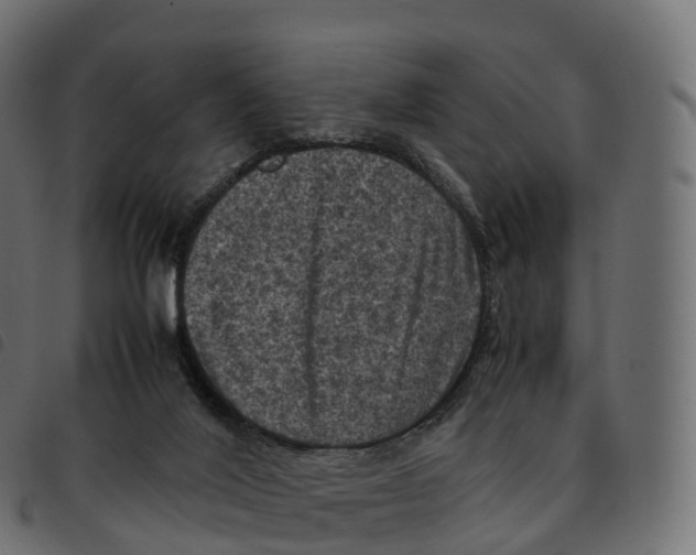 X0000092220020200710121206