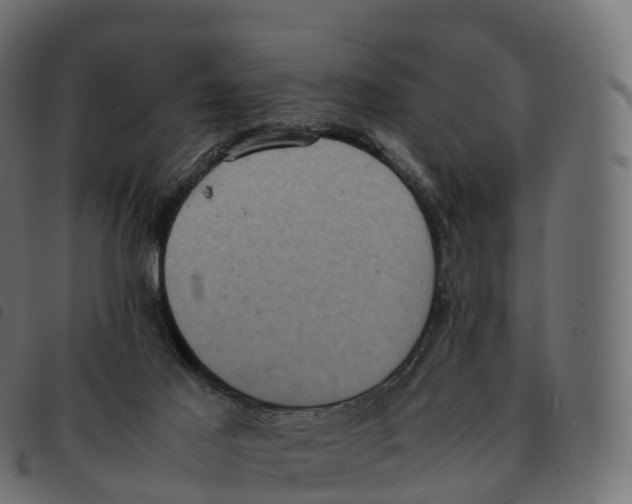 X0000092220021200710121206