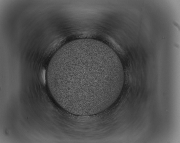 X0000092220022200710121206