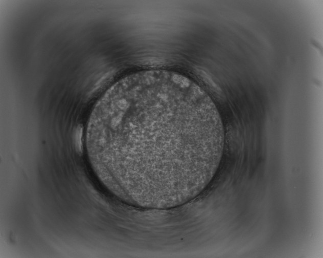 X0000092220024200710121206