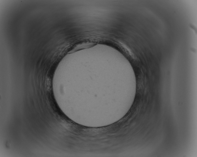 X0000092220025200710121206