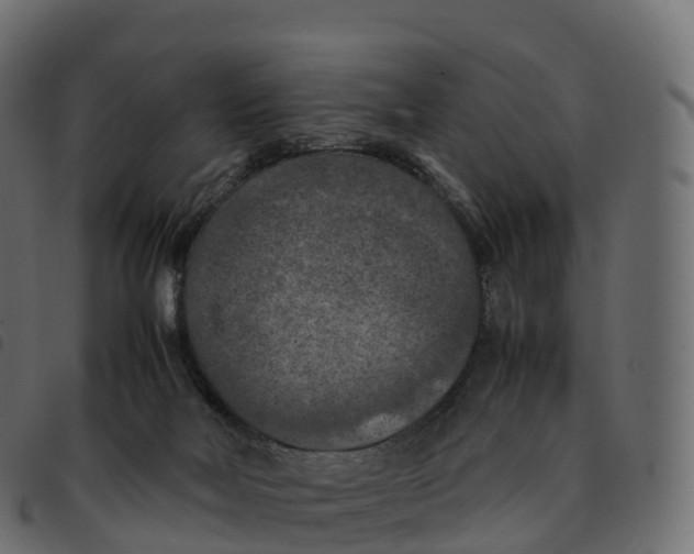 X0000092220026200710121206