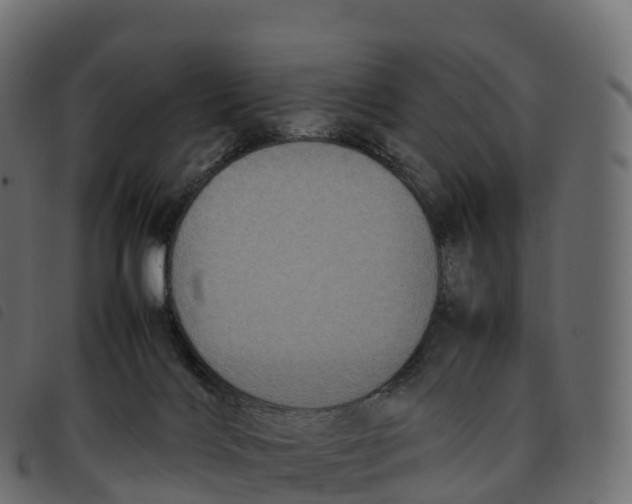 X0000092220028200710121206