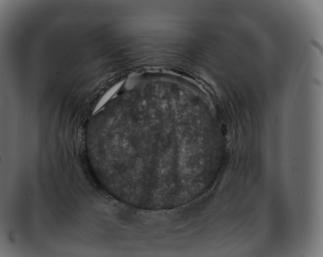 X0000092220029200710121206