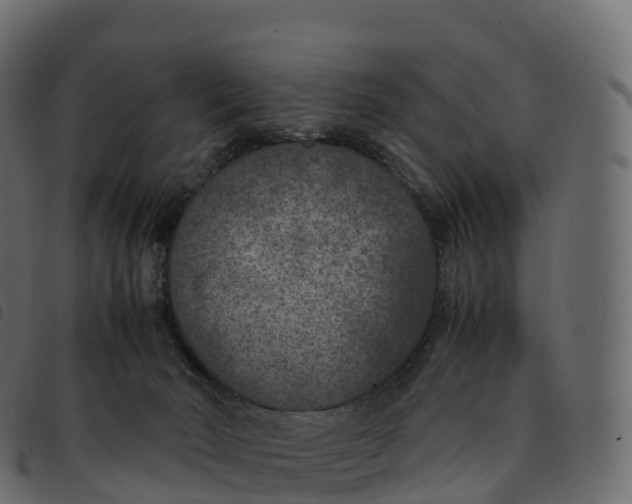 X0000092220030200710121206