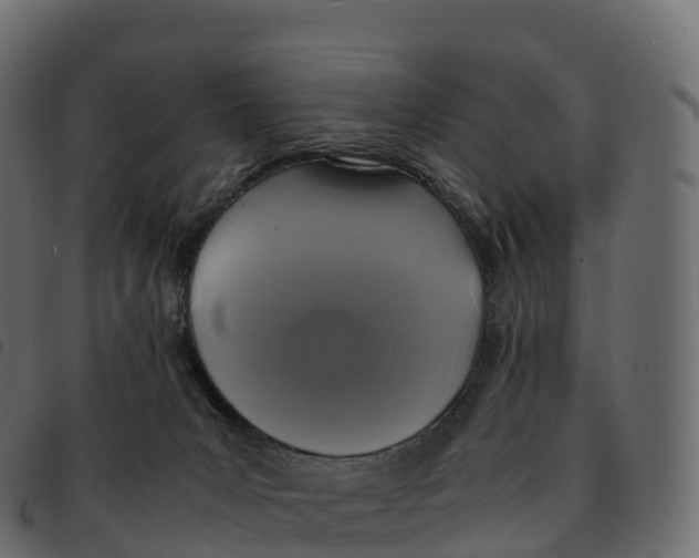 X0000092220031200710121206