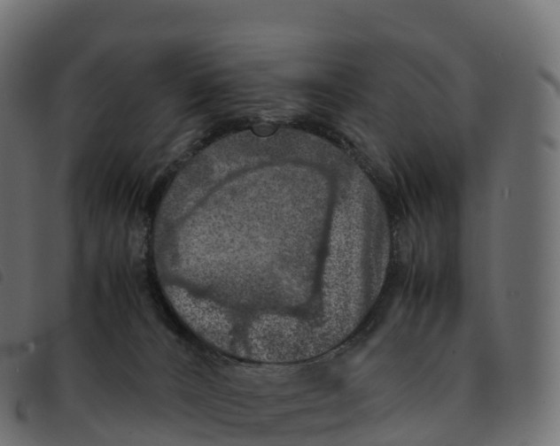 X0000092220032200710121206