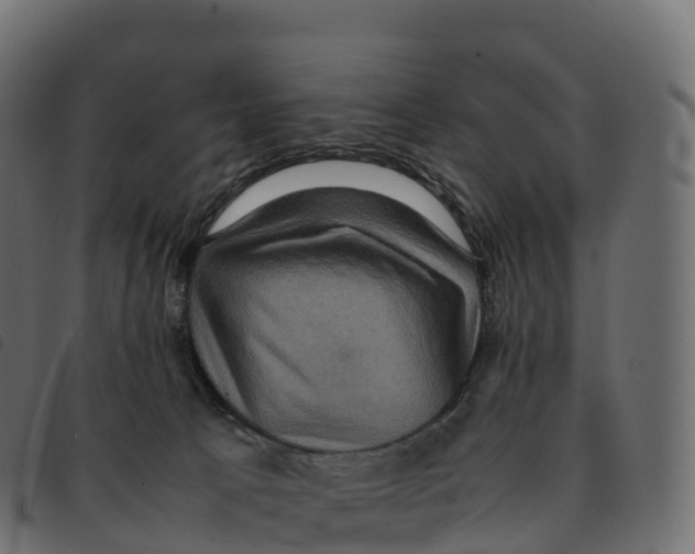 X0000092220033200710121206