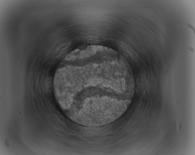 X0000092220034200710121206