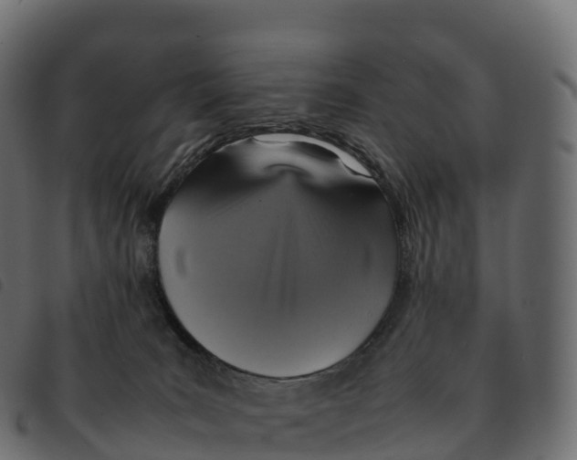 X0000092220035200710121206