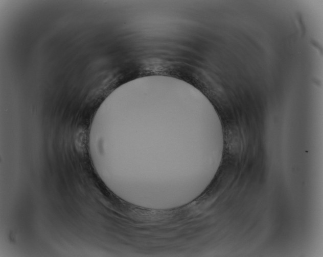 X0000092220036200710121206