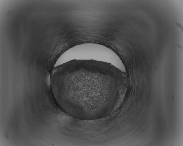 X0000092220041200710121206