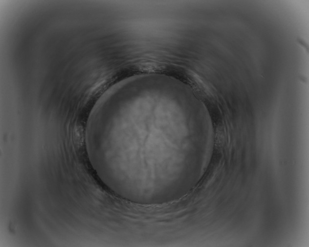 X0000092220043200710121206