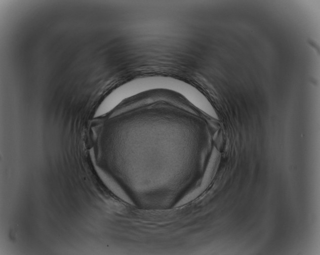 X0000092220045200710121206