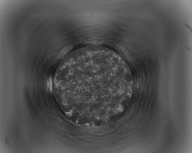 X0000092220046200710121206