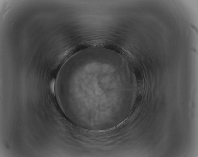 X0000092220047200710121206