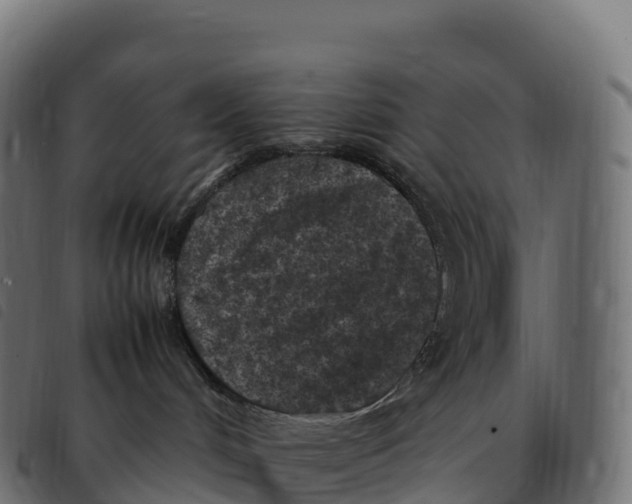 X0000092220048200710121206