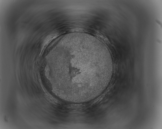 X0000092220049200710121205