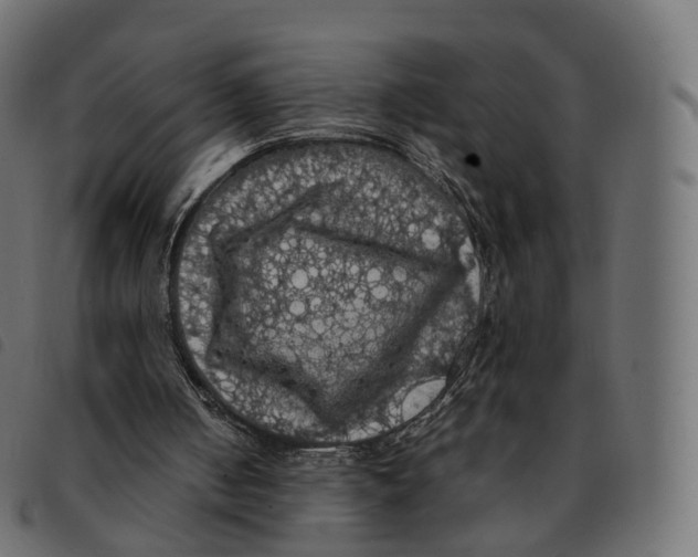 X0000092220050200710121205