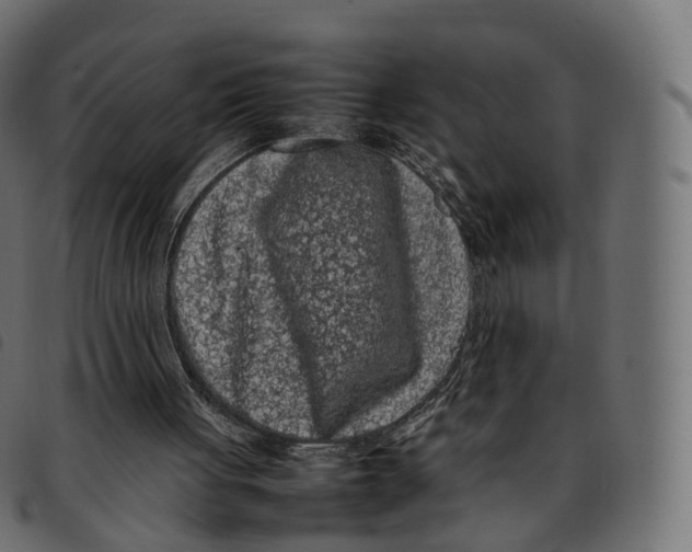 X0000092220051200710121205