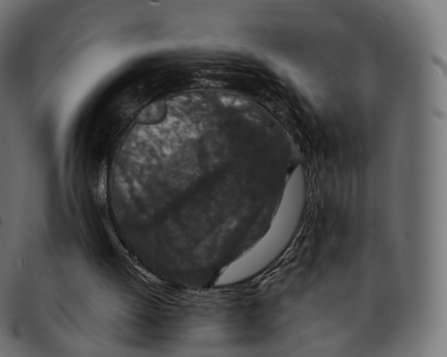 X0000092220052200710121205